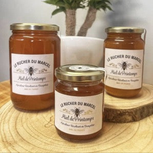 Miel - Toutes fleurs (Beaujolais) - 460g