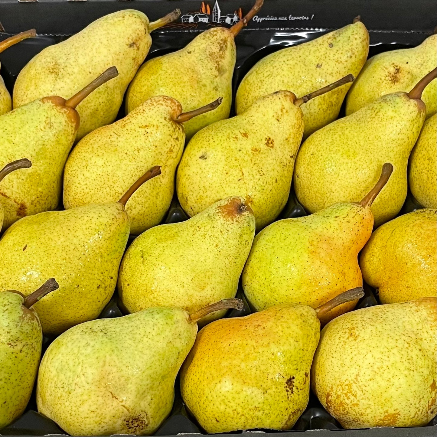 FRUITS - Poires (Williams) - 500g