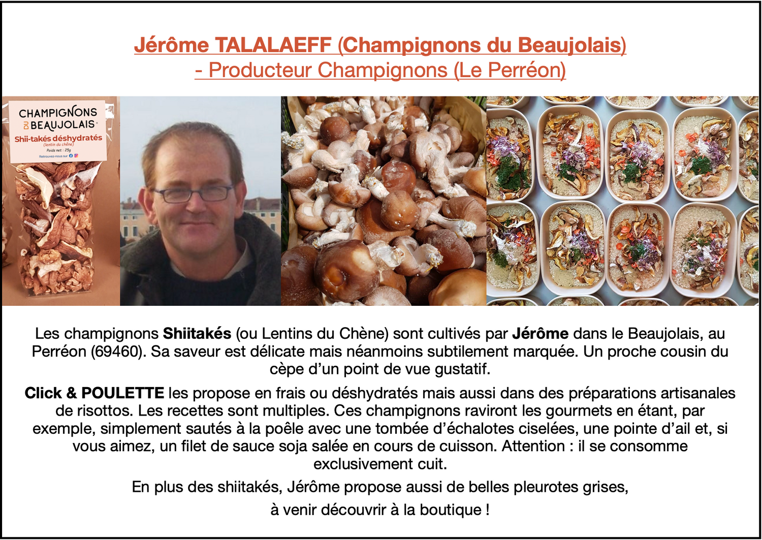 Jérôme TALALAEFF (Champignons du Beaujolais) - Producteur Champignons (Le Perréon). Click & POULETTE propose ses shiitakés en frais ou déshydratés mais aussi dans des préparations artisanales de risottos. En plus des shii-takés, Jérôme propose aussi de belles pleurotes grises.