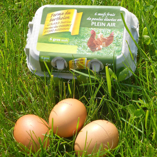 6 oeufs frais de poules élevées en plein air (code 1), calibre moyen, ferme du Bertholon Mionnay