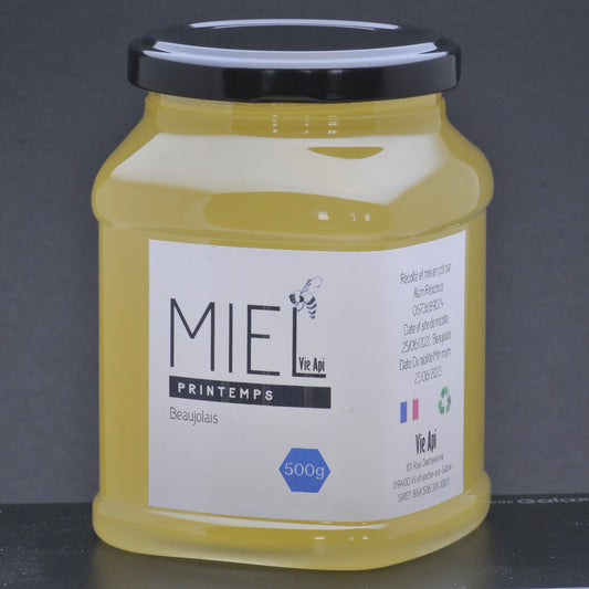 Miel - Printemps (Beaujolais ou Dombes) - 500g