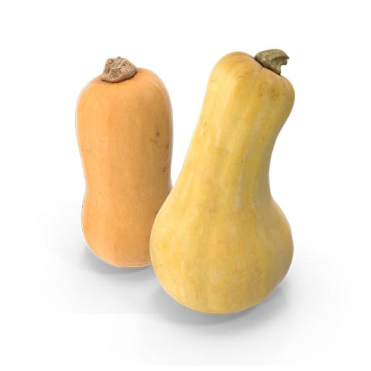 Butternuts issues de l'agriculture biologique Jardin de Ptit Pierre Saint Didier de Formans