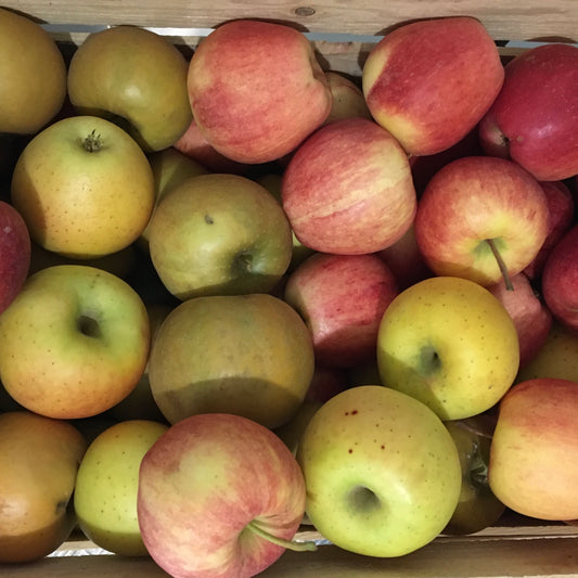 Pommes mélangées Alain Coquard La Cerise Bleue Bessenay